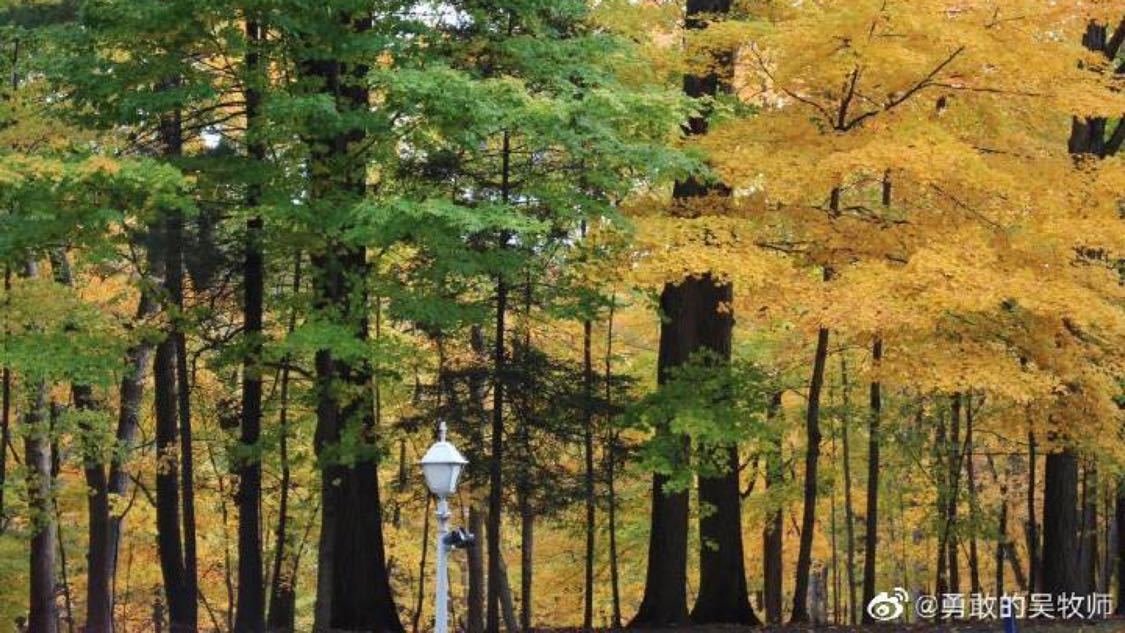 dy业务自助下单平台在线泰安：泰安在线社交媒体服务体验新升级